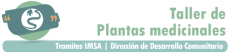 Taller de Plantas medicinales