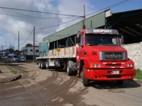 Transportistas de carga deben renovar permiso de circulacion