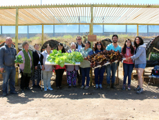 Con éxito finaliza curso de Hidroponía en Llolleo