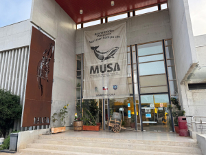 Exhibición “Espíritu Bato” llegará a San Antonio con una experiencia cultural, de memoria e identidad