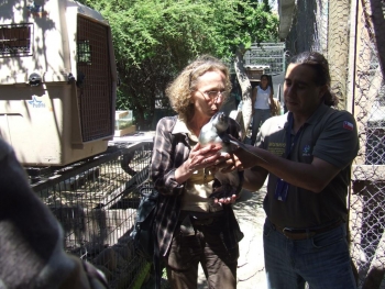 Fundación Alemana Sphenisco dona medicamentos al Museo de San Antonio