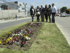 Bandejón de calle Luis Reuss luce renovada imagen