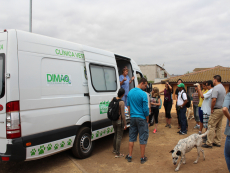 Más de 3 mil esterilizaciones gratuitas para mascotas ha realizado la Municipalidad de San Antonio