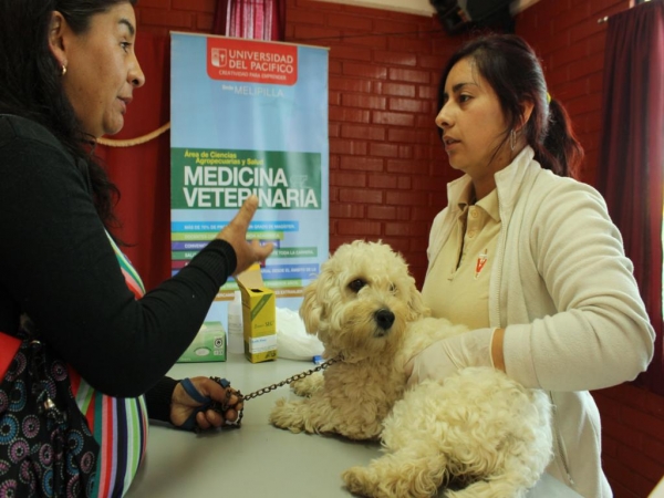 Exitoso operativo canino se hará en otros barrios