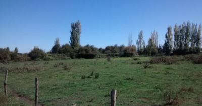 Municipalidad refuerza llamado al cuidado y mantención de terrenos y propiedades para prevenir riesgos a la comunidad