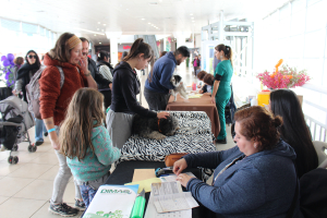 San Antonio conmemoró el Día del Perro con exitosas jornadas de vacunación, adopción y educación en bienestar animal