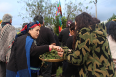 San Antonio Celebra el We Tripantu: un nuevo ciclo de renovación y tradición mapuche