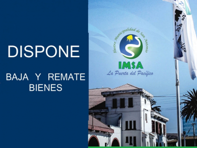 DISPONE LA BAJA Y REMATE DE    LOS BIENES QUE SE DETALLAN