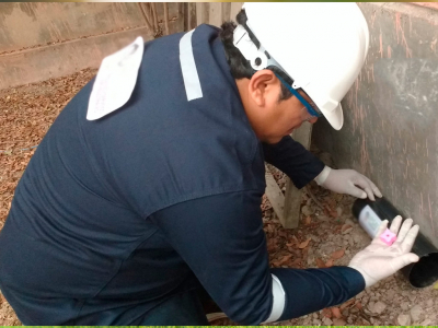 Municipalidad de San Antonio retomará de manera gradual operativos de control de plagas en la comuna