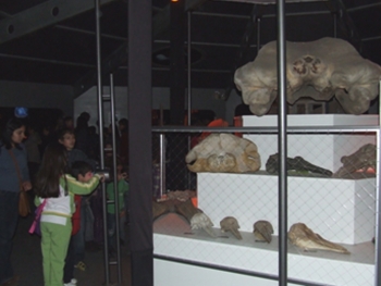 Museo de San Antonio en la Expo Animales Asombrosos en la Estación Mapocho en Santiago