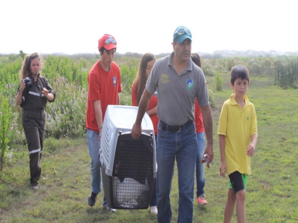 Tres aves fueron liberadas en el estuario del rió Maipo