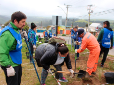 Dimao y la Corporación Cultiva realizan jornada de revegetación en el bandejón de Los Aromos