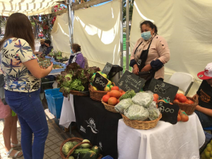 No se pierda la Feria “Hecho a mano” este jueves y viernes en la plaza de Llolleo