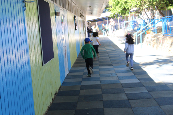 Con éxito concluye proyecto de instalación de palmetas de caucho en escuela Padre André Coindre