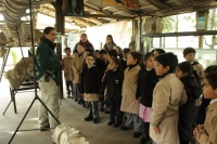 Museo de San Antonio prepara variadas actividades para este verano