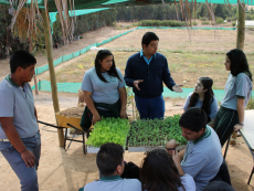 Realizarán seminario sobre educación media técnica profesional