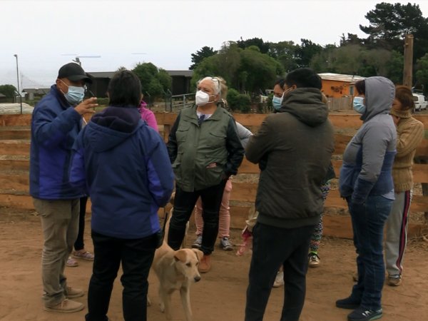 Municipio instalar&aacute; contenedores de residuos domiciliarios en sector de Manuel Bulnes