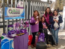 Entregan informaci&oacute;n sobre el lupus en Llolleo