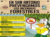Municipalidad de San Antonio lanza campa&ntilde;a para prevenir los incendios forestales