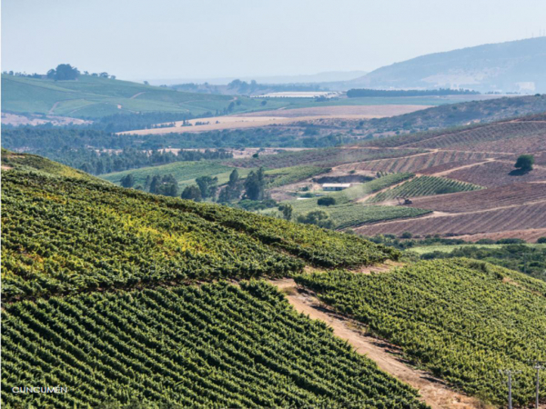 MOP public&oacute; llamado a &nbsp;Licitaci&oacute;n por Regad&iacute;o Cuncum&eacute;n