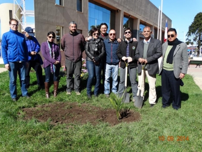 Consejo Comunal Ambiental impulsa la iniciativa para recuperaci&oacute;n de la Palma Chilena