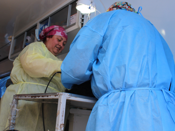 Operativos Veterinarios M&oacute;viles: promoviendo la tenencia responsable